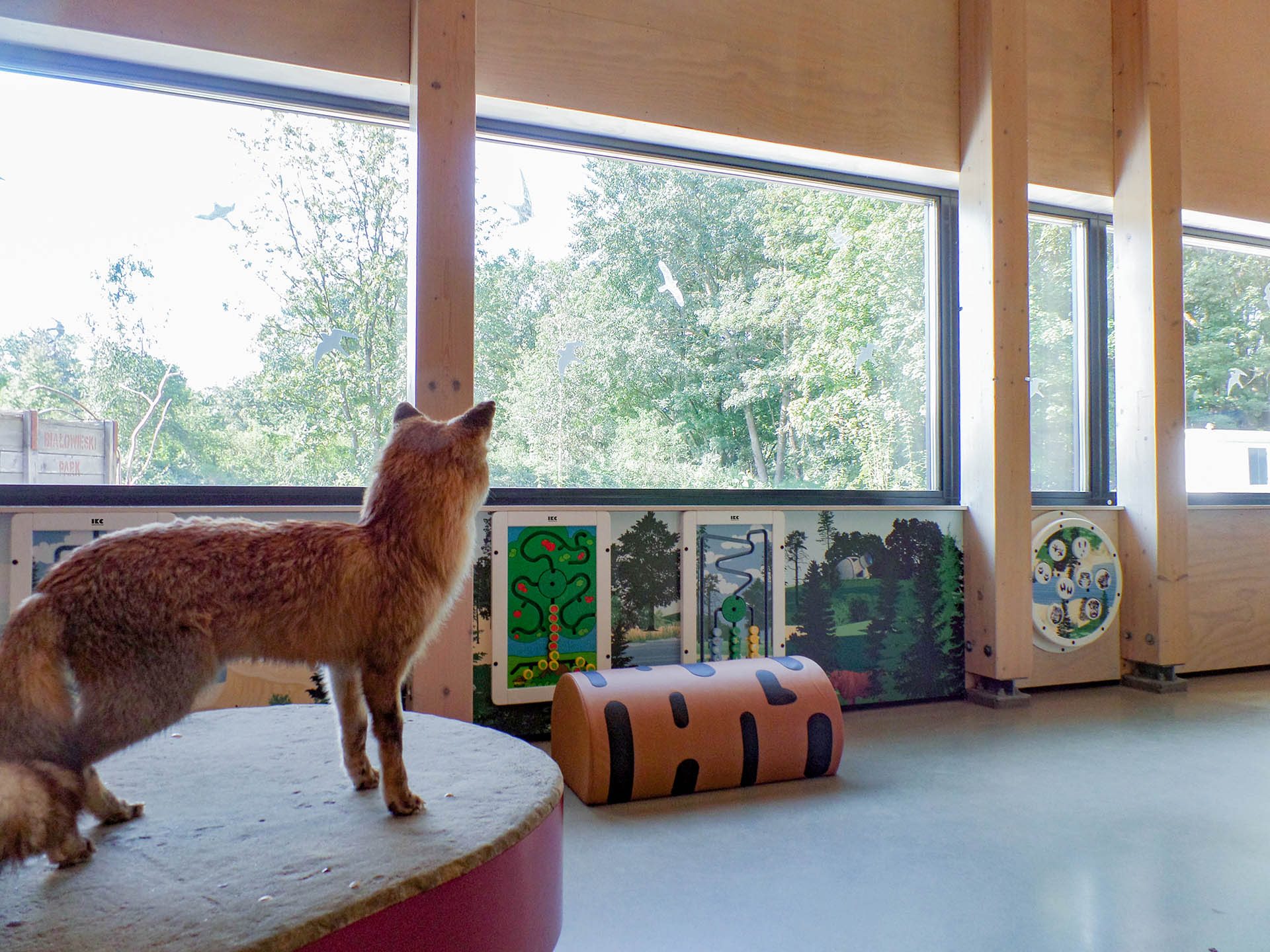 Play corner visitors centre Kennermerduinen This picture shows a play corner in a visitors information centre of a Dutch national park