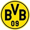 Logo BVB | IKC Home